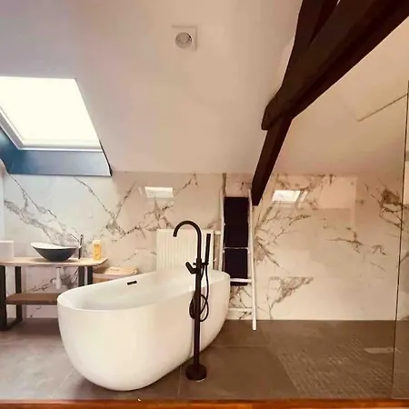 Maison De Standing En Duplex Jacuzzi Sauna * Verviers